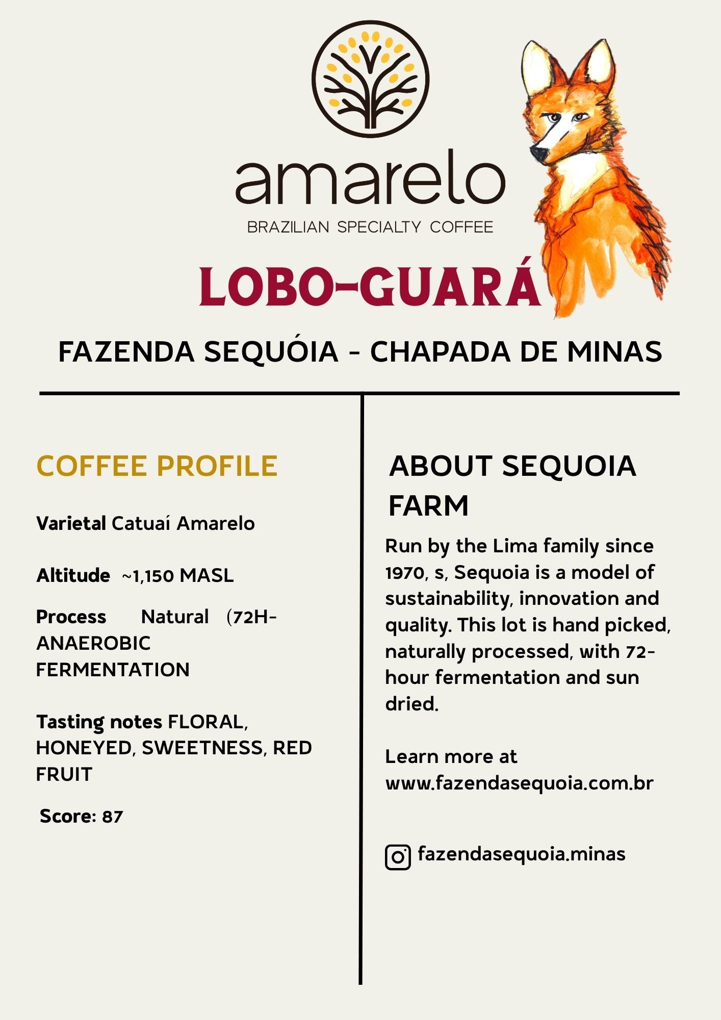 LOBO GUARÁ