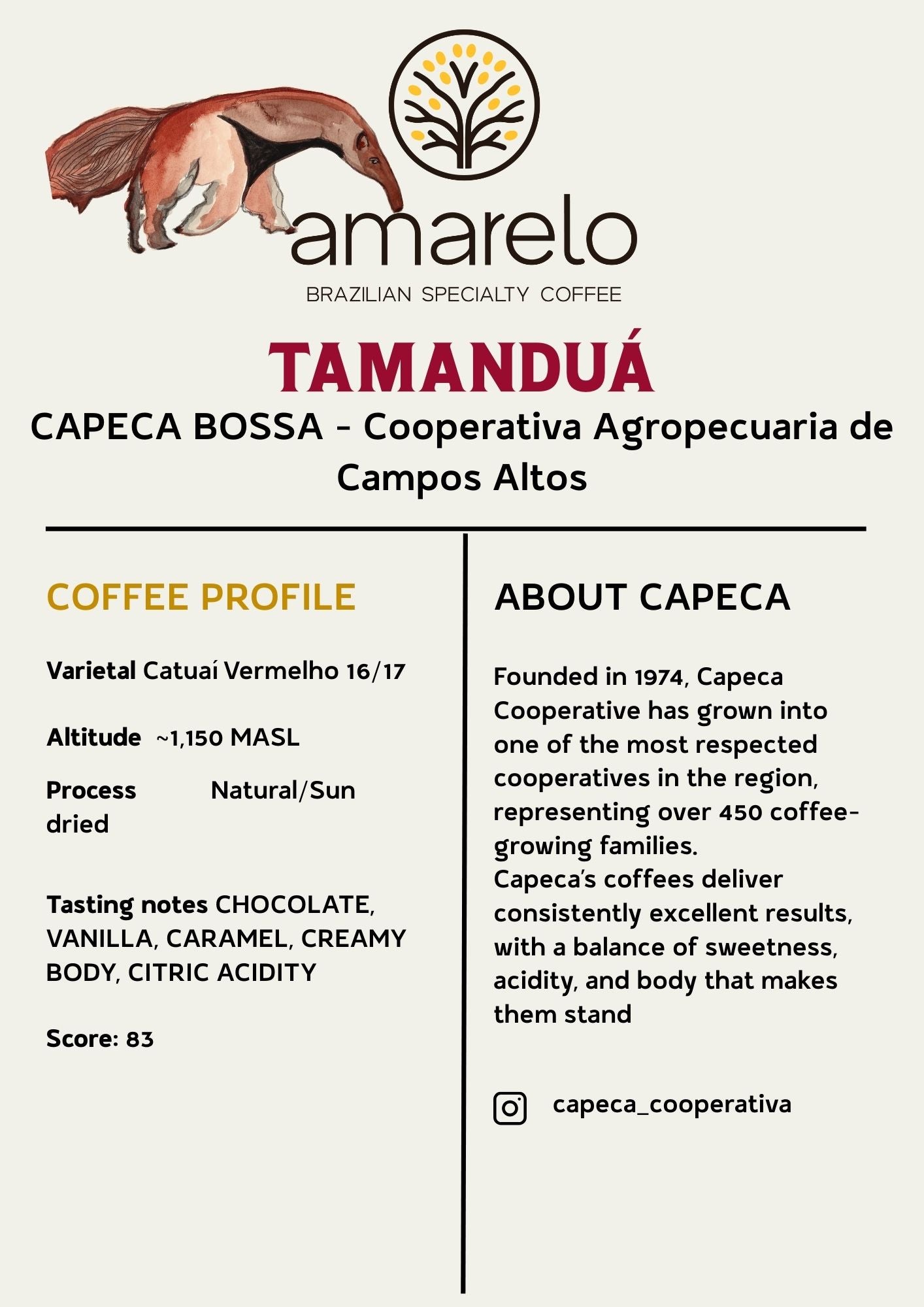 TAMANDUÁ